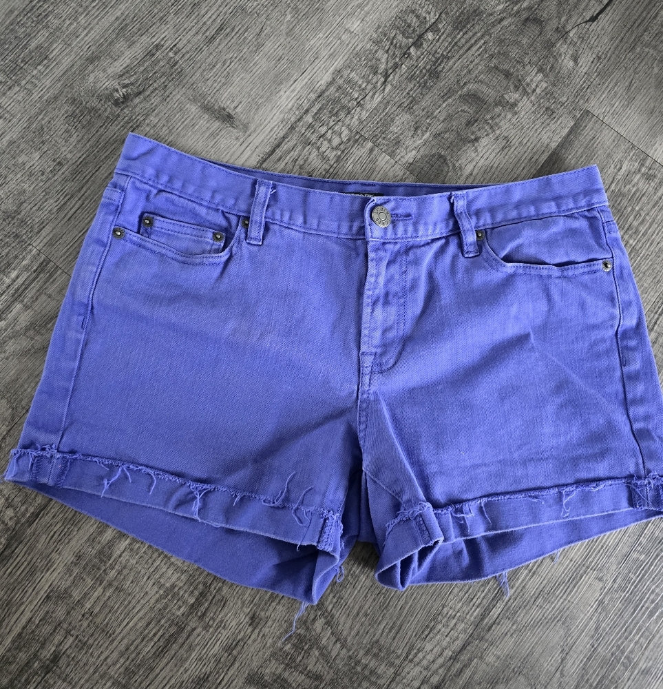 J. Crew Women's Vibrant Blue Purple Jean Shorts